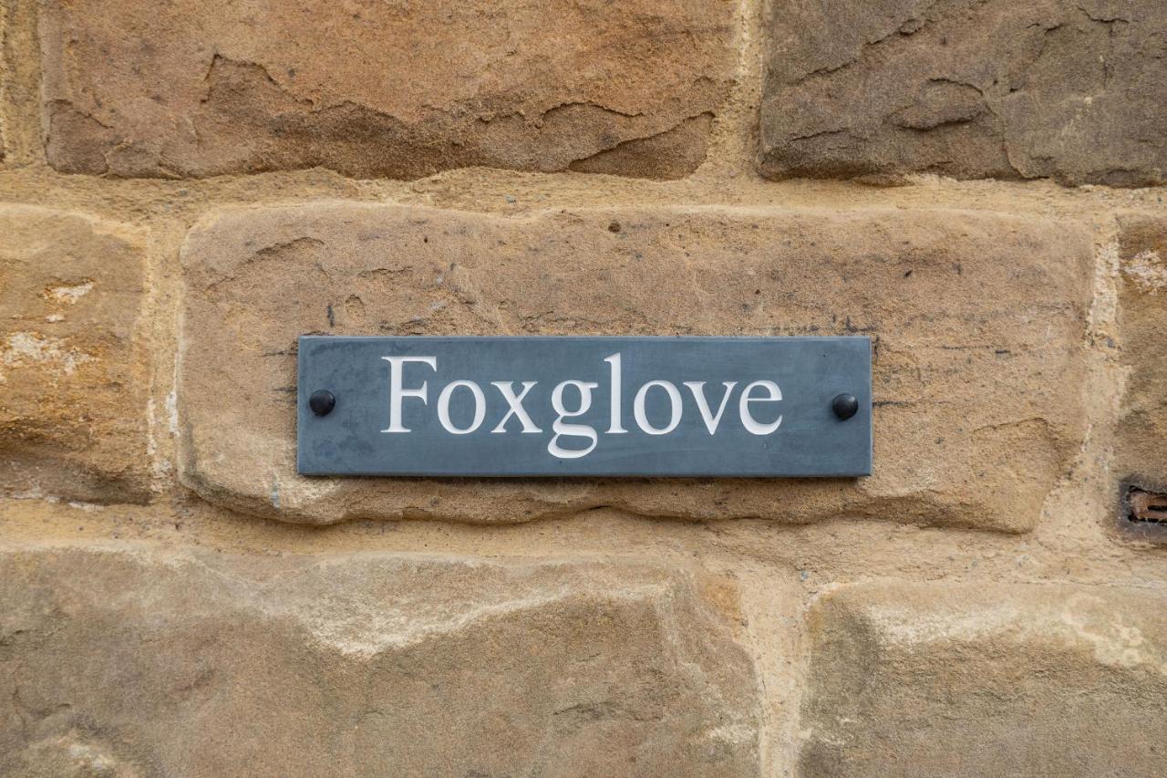 Foxglove * Whitby